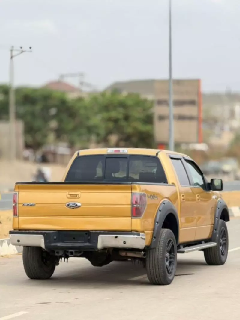 Ford F 150 - 2009
