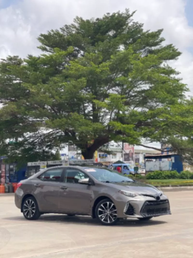 Toyota corolla   - 2019
