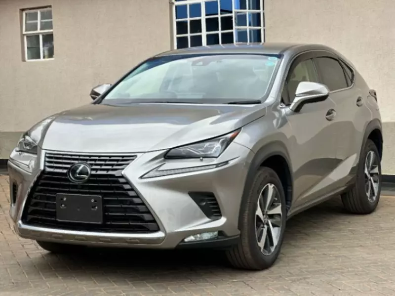 Lexus NX 300   - 2018