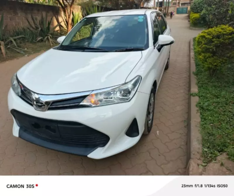Toyota Fielder    - 2019