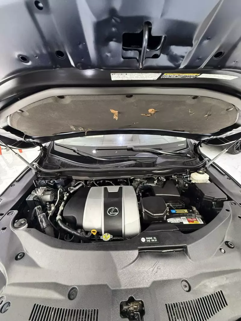 Lexus RX 350L   - 2018