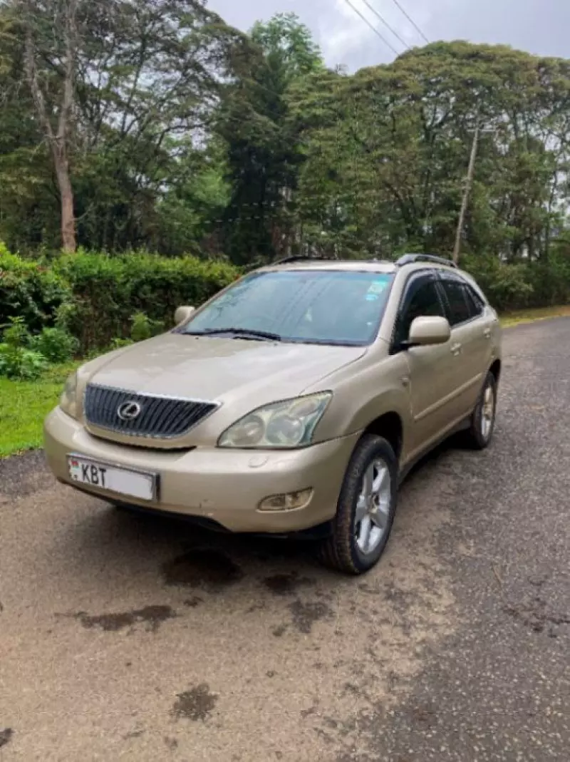 Lexus RX 300   - 2006
