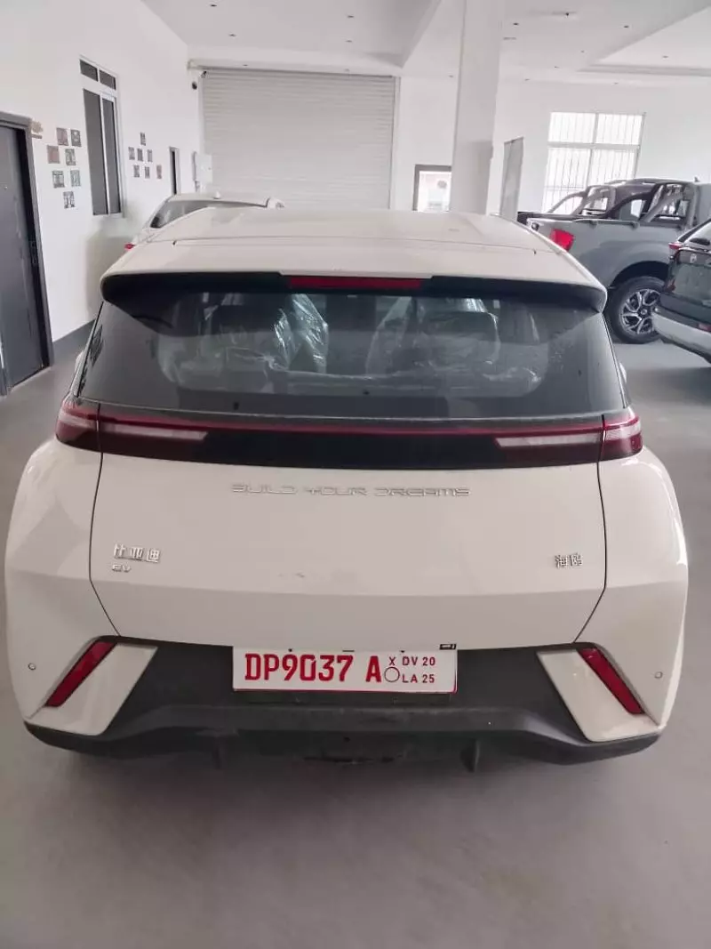BYD 124 Spider   - 2024