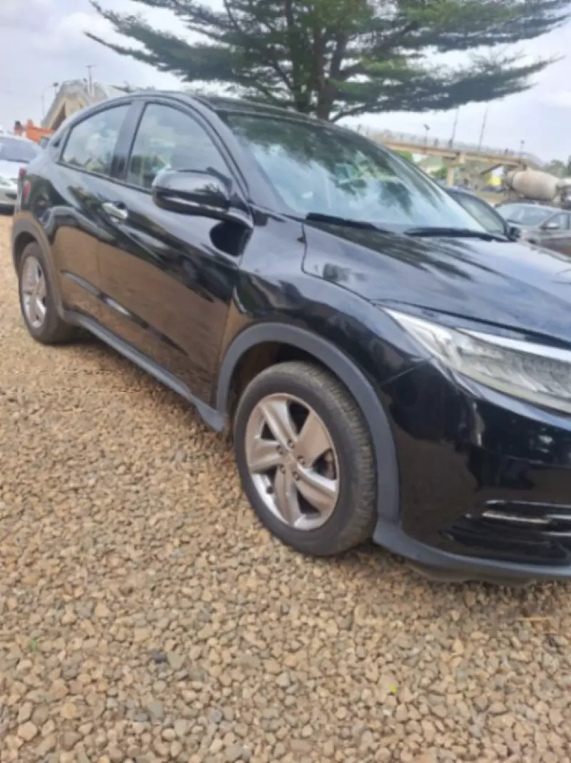 Honda Spike    - 2019