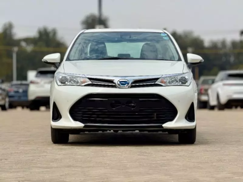 Toyota Axio    - 2018