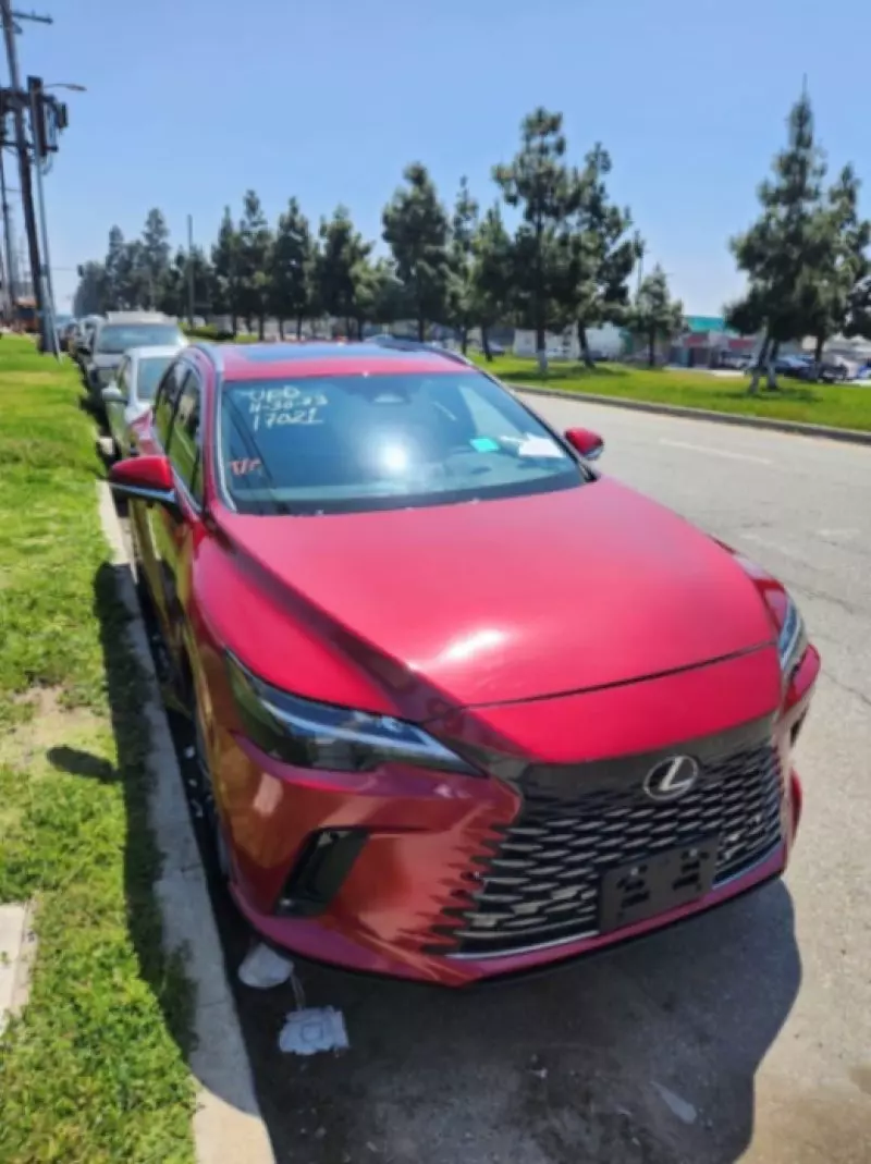 Lexus RX - 2024