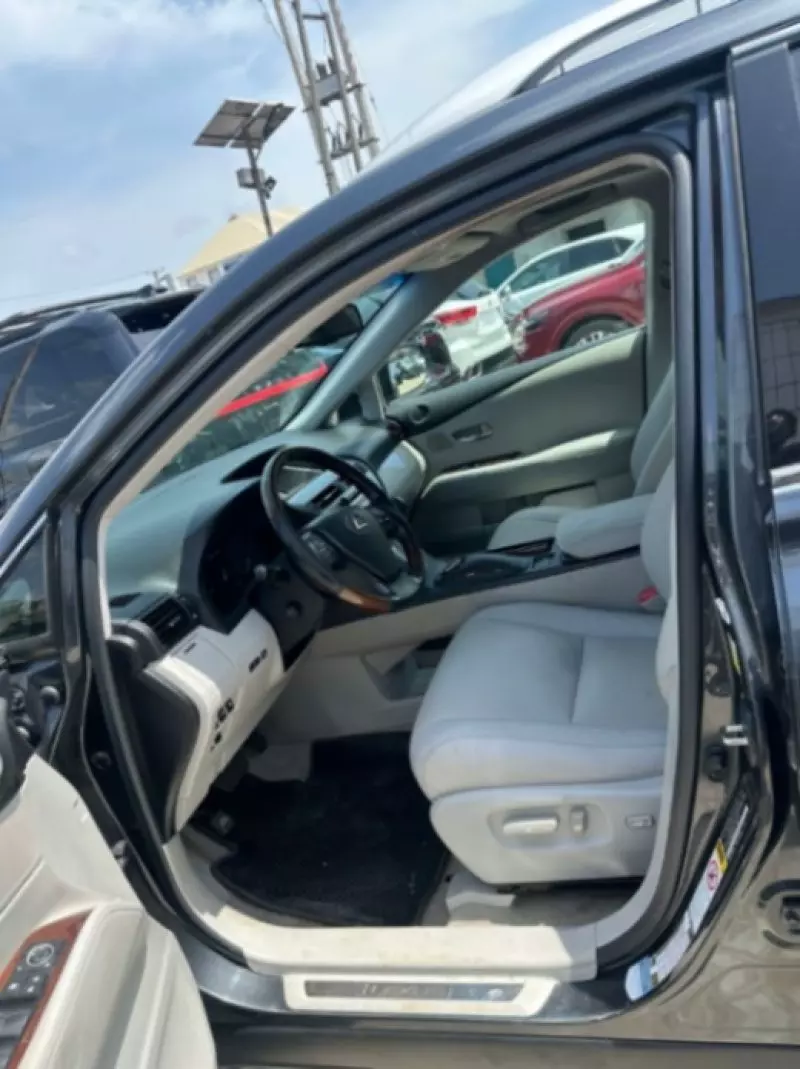 Lexus RX   - 2010