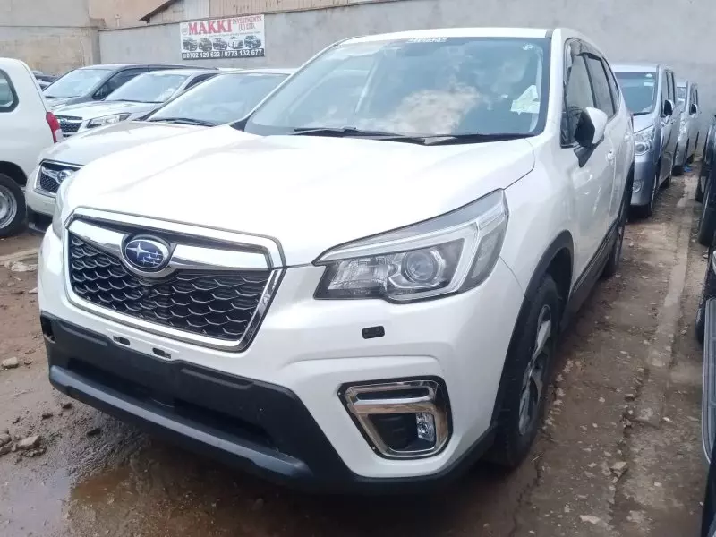 Subaru Forester   - 2019