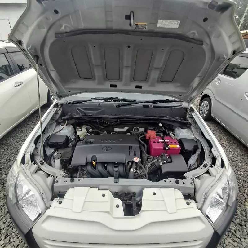 Toyota Probox    - 2019