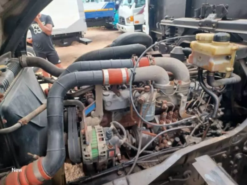 Hyundai Rhino   - 2004