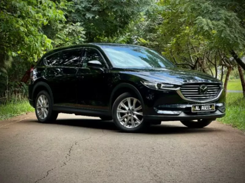 Mazda CX-8   - 2018