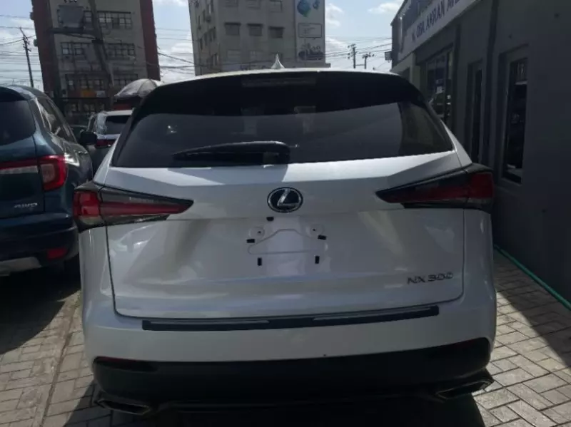Lexus NX   - 2021