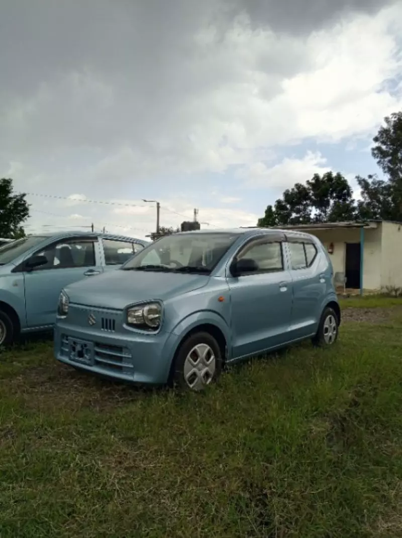 SUZUKI Alto GLX   - 2017