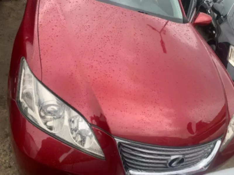 Lexus ES 350   - 2009