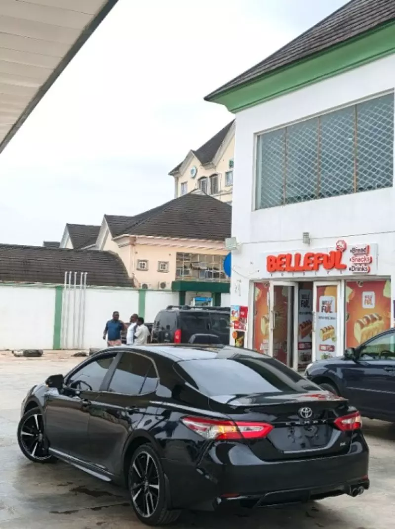 Toyota Camry   - 2019