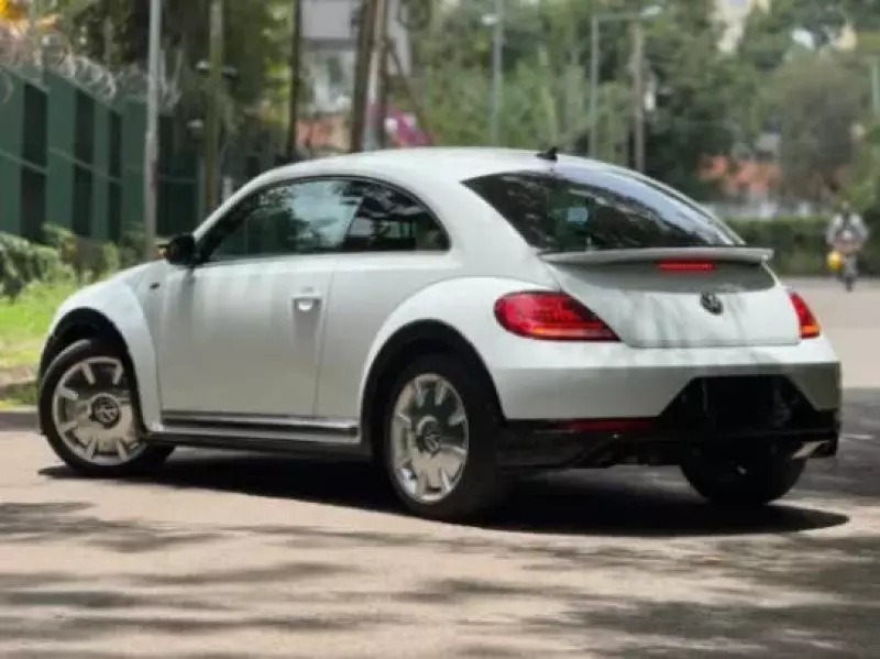 Volkswagen Beetle   - 2019