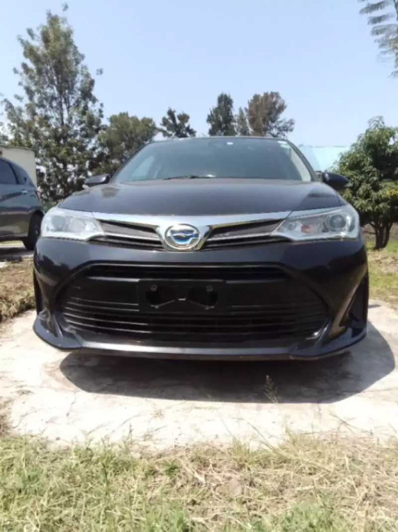 Toyota Fielder    - 2018