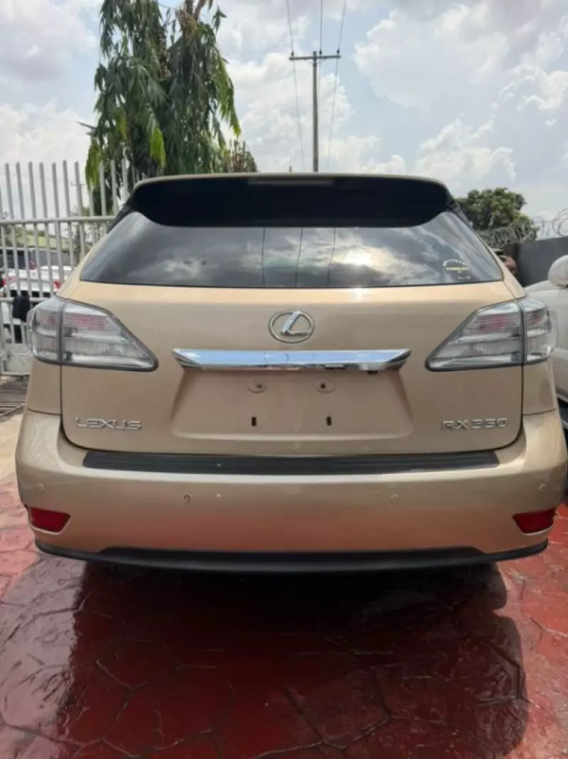 Lexus RX   - 2010