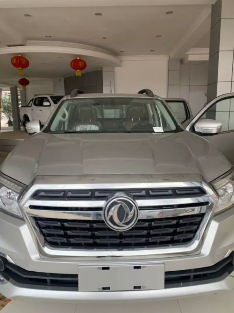 DONGFENG RICH