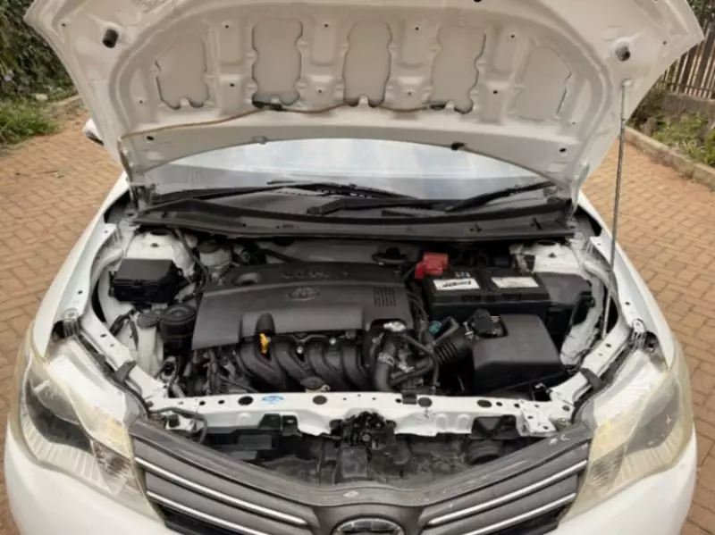 Toyota Axio    - 2015