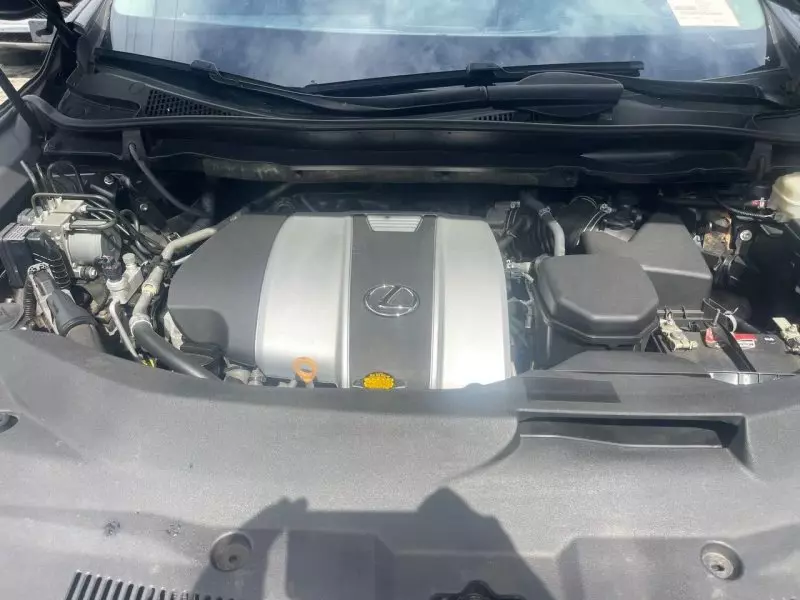 Lexus RX 350   - 2017