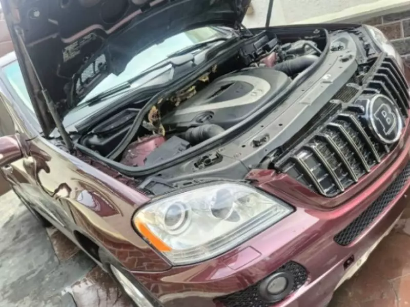 Mercedes-Benz ML 350