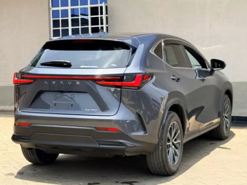 Lexus NX 200T   - 2022