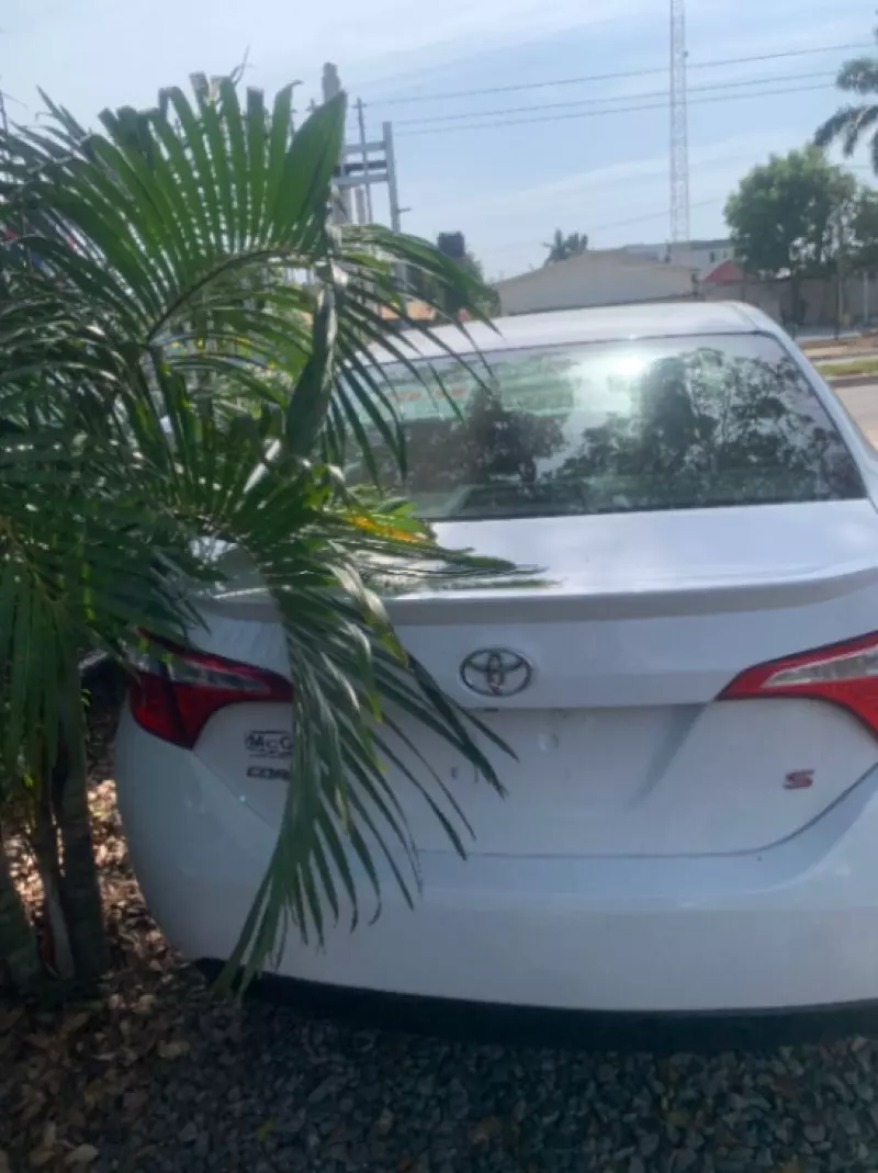 Toyota Corolla Sport