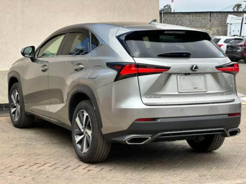 Lexus NX 300   - 2018