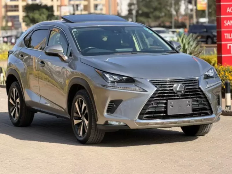 Lexus NX 300