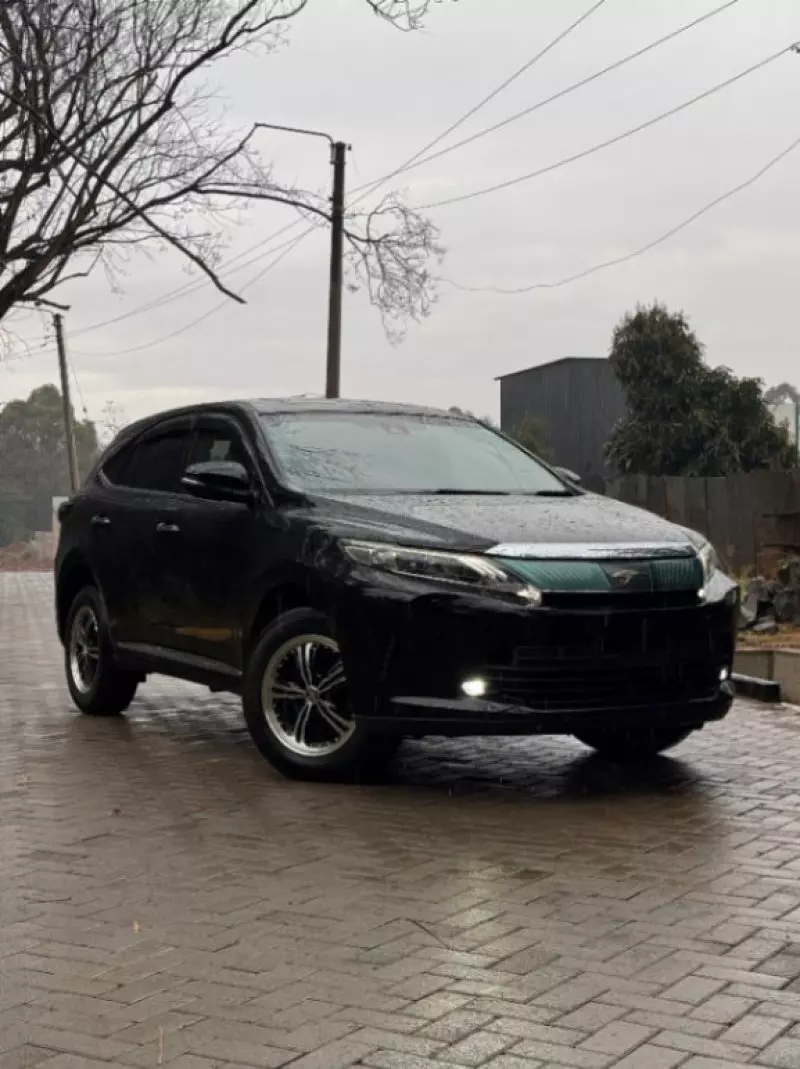 Toyota Harrier   - 2019