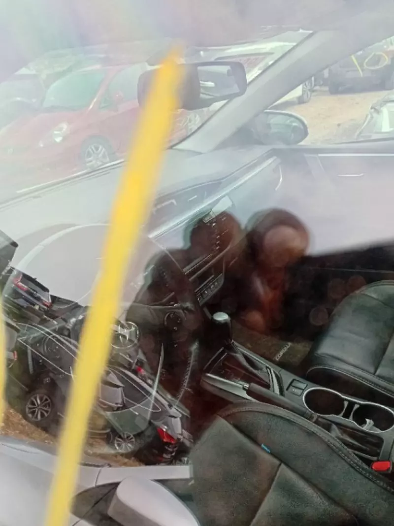 Toyota Corolla   - 2016