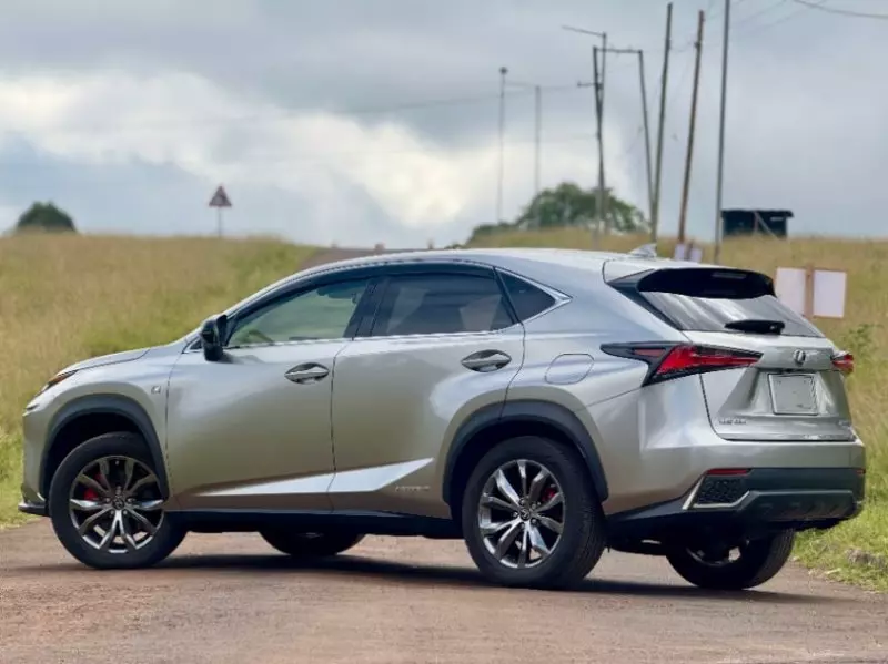 Lexus NX300h Hybrid   - 2018