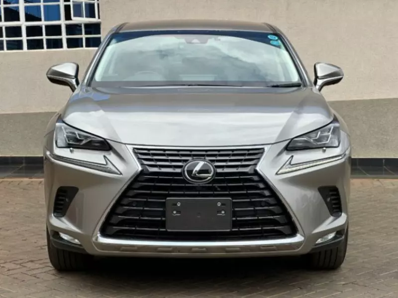 Lexus NX 300   - 2018