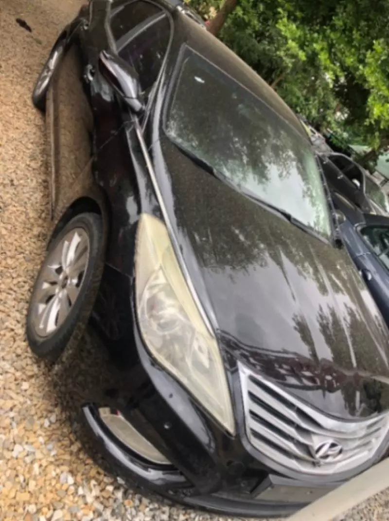 Hyundai Grandeur   - 2010