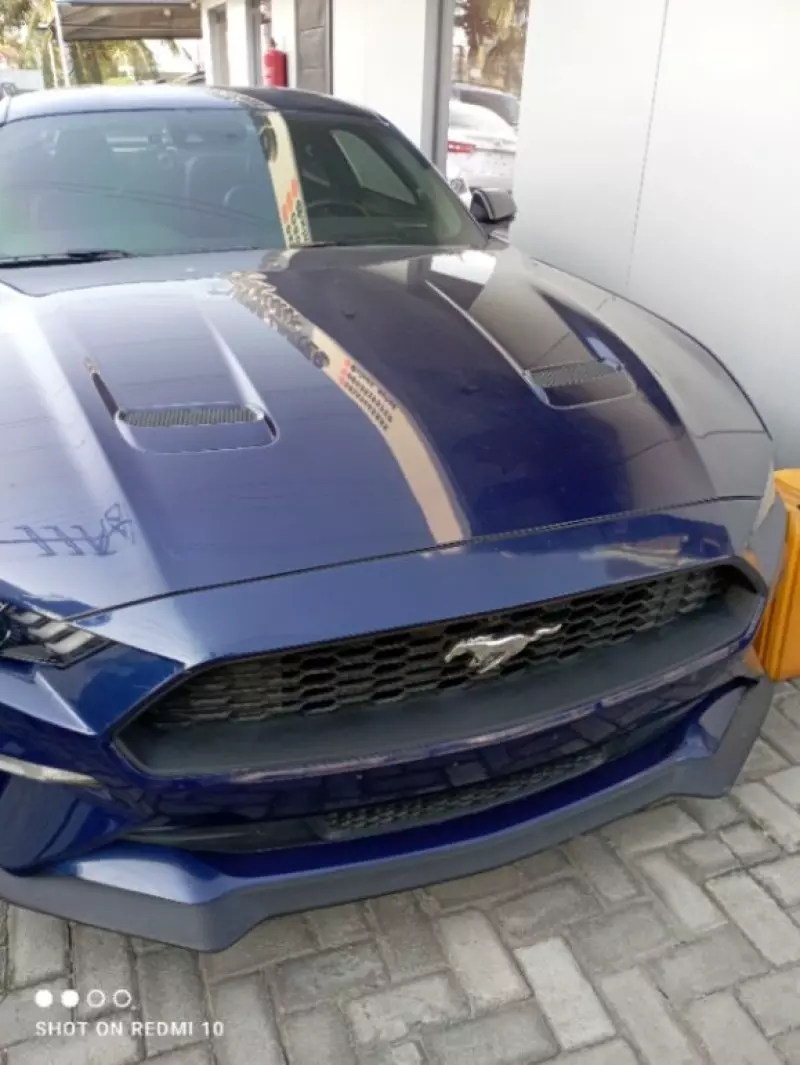 Ford Mustang   - 2019