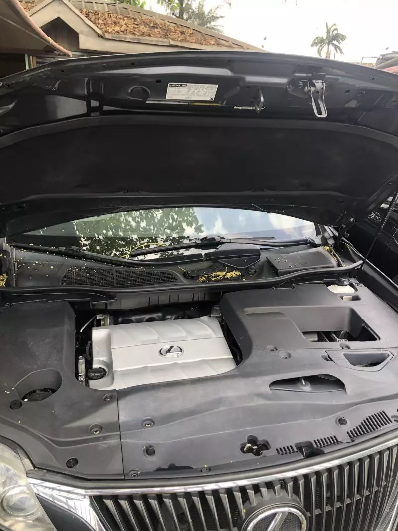 Lexus RX 350   - 2011