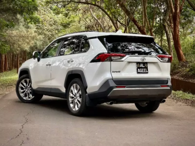 Toyota RAV 4   - 2019