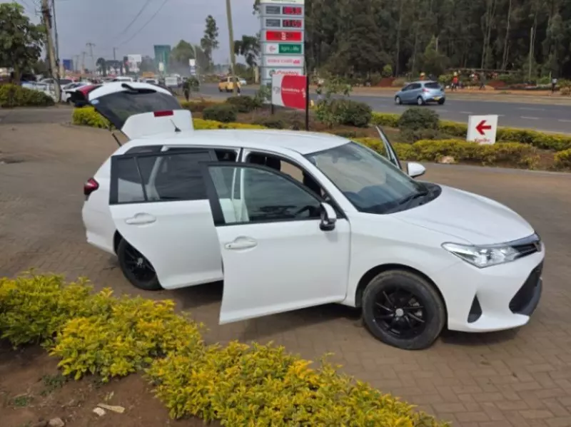 Toyota Fielder    -