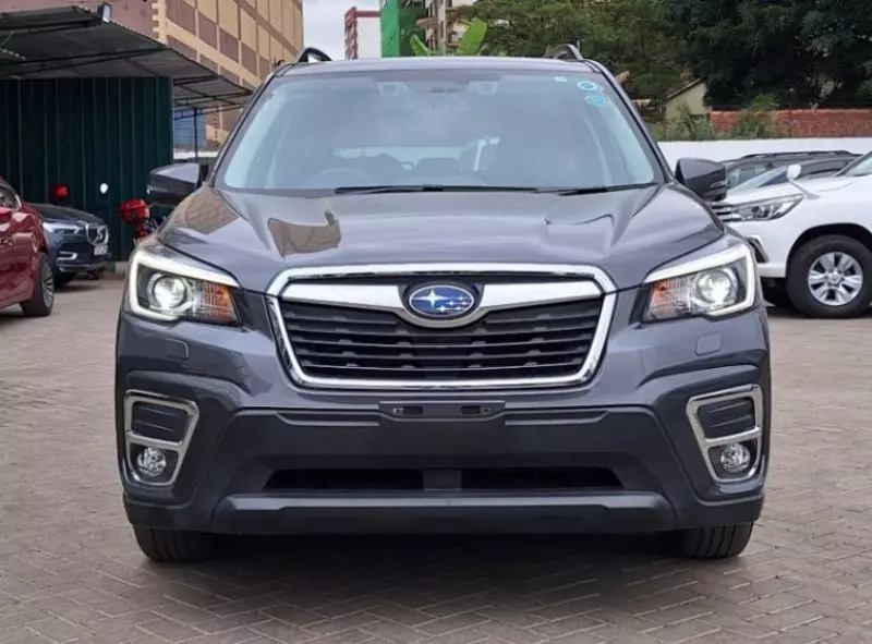 Subaru Forester   - 2019