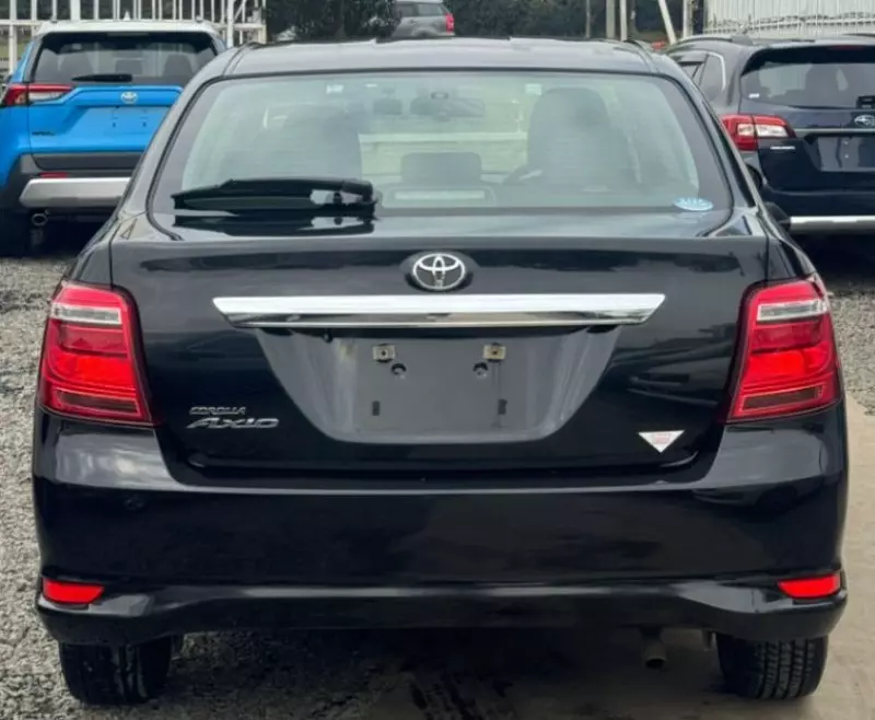 Toyota Axio    - 2019