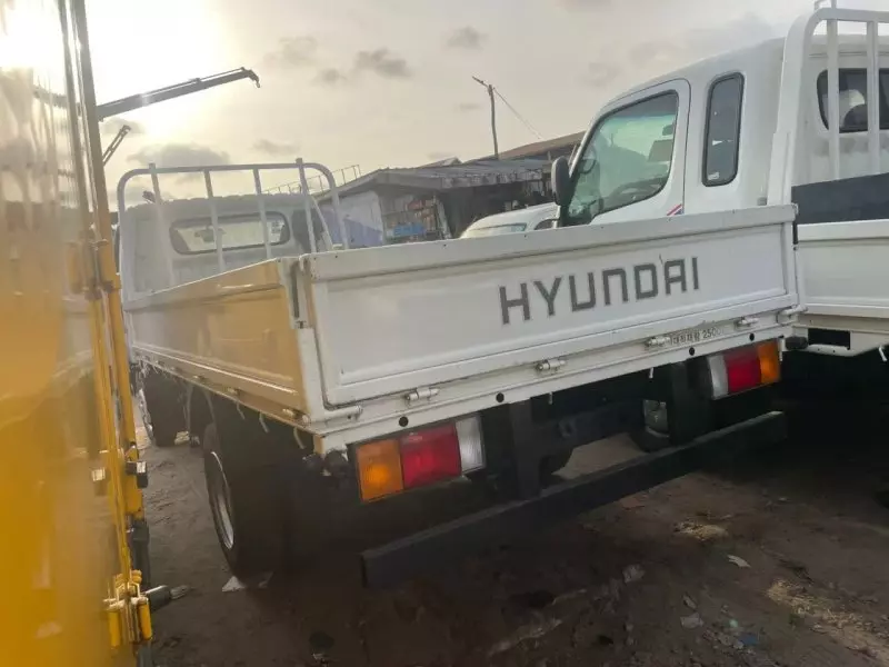 Hyundai Mighty