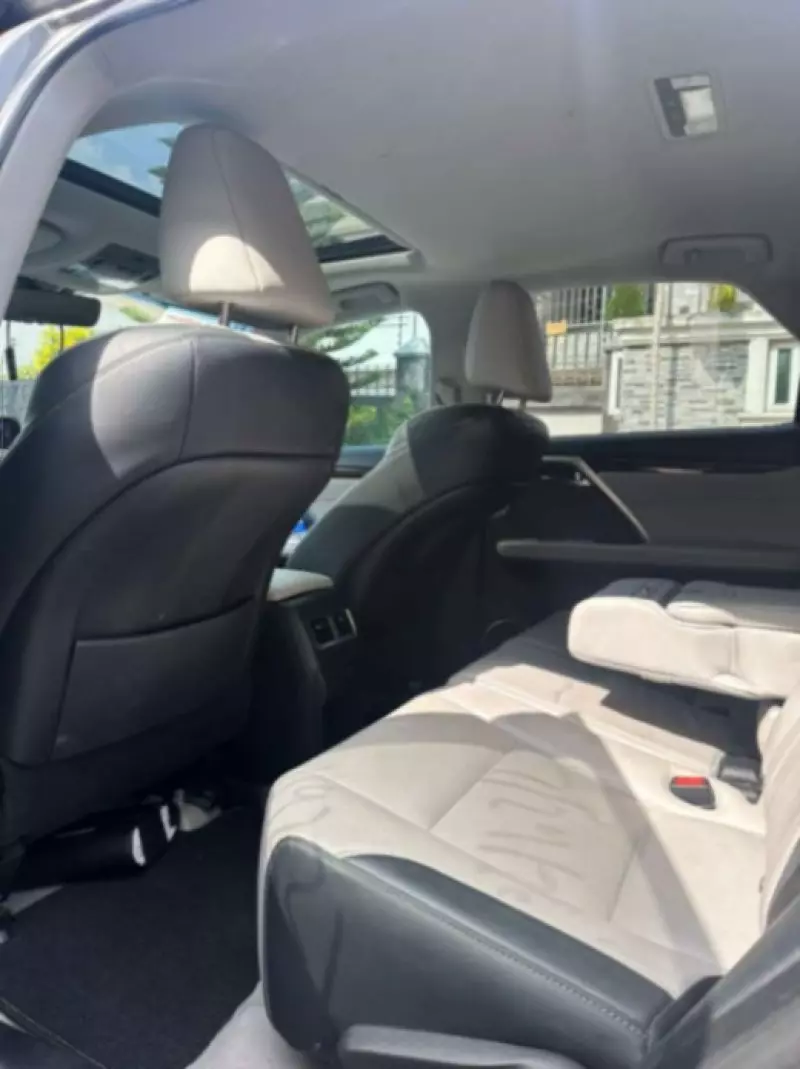 Lexus RX 350   - 2019