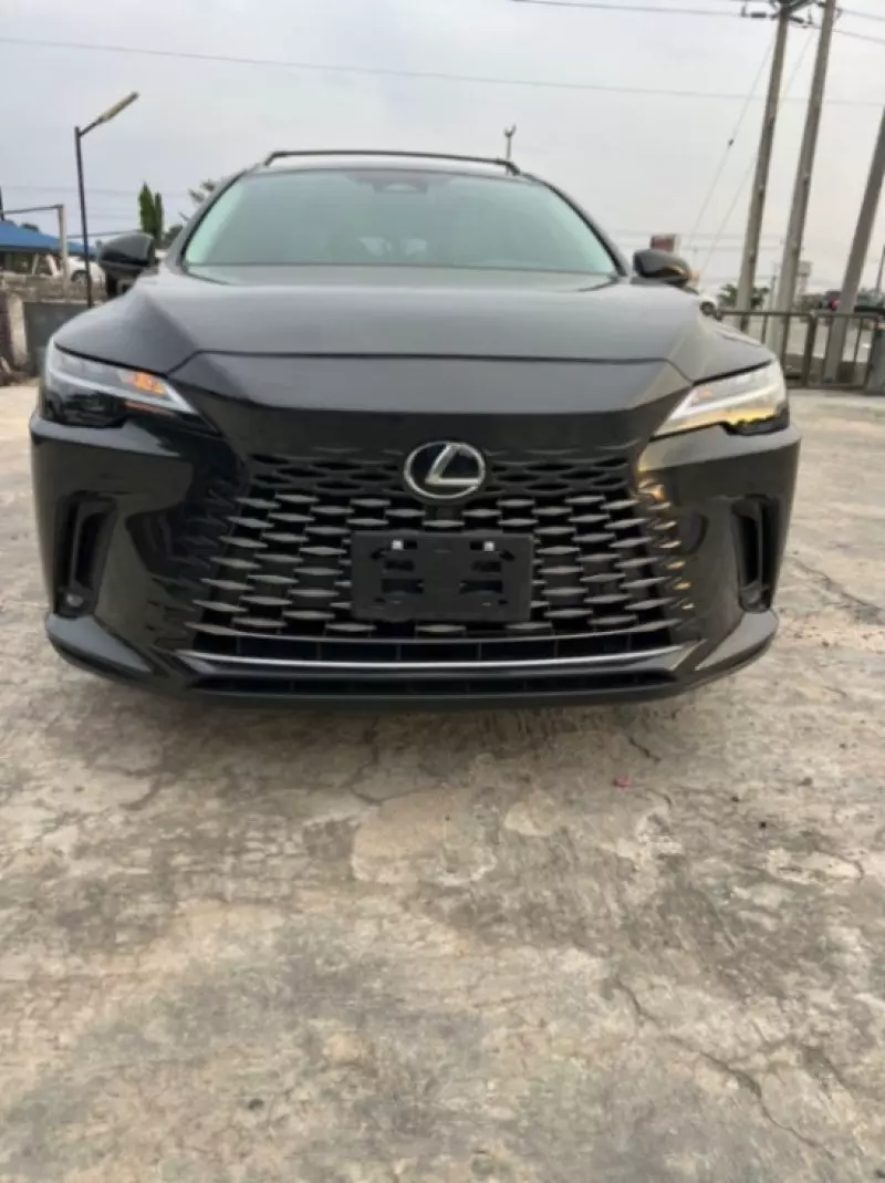 Lexus RX   - 2024