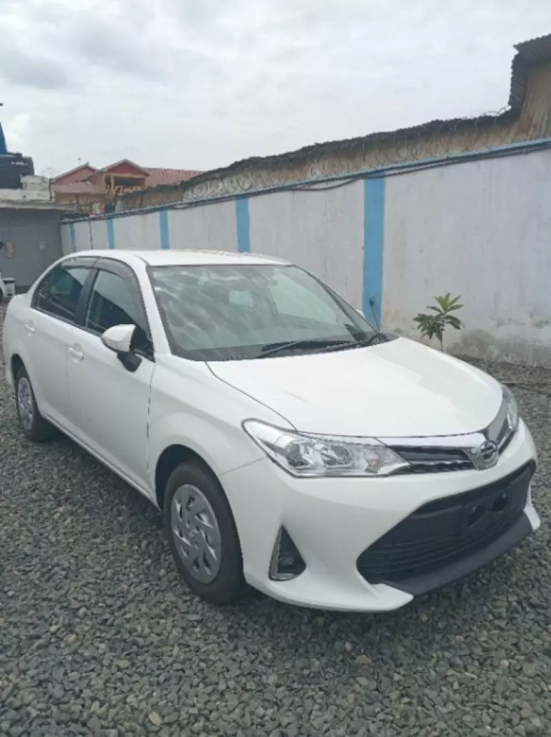Toyota Axio    - 2018