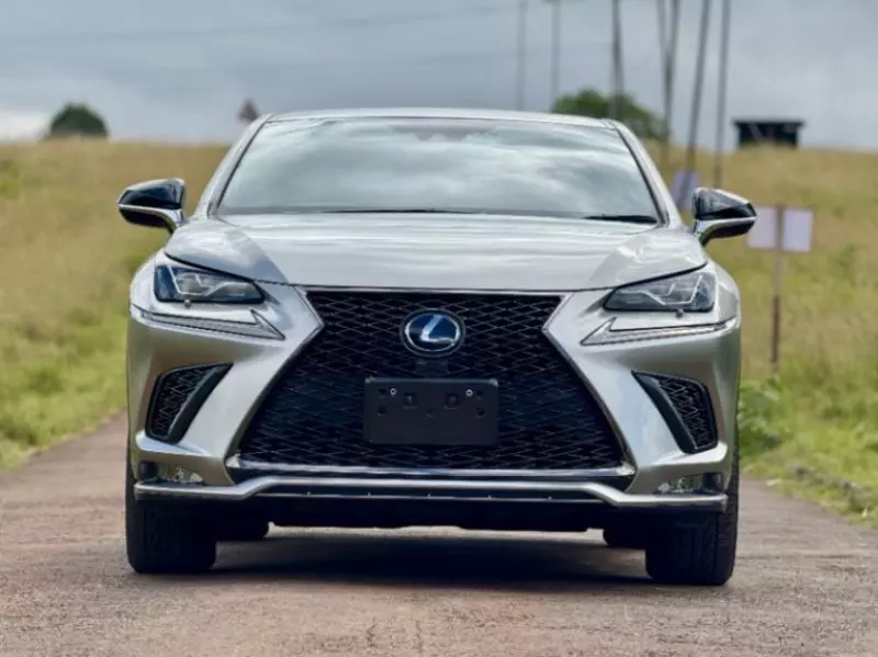 Lexus NX300h Hybrid   - 2018