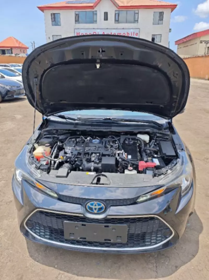 Toyota Corolla   - 2019