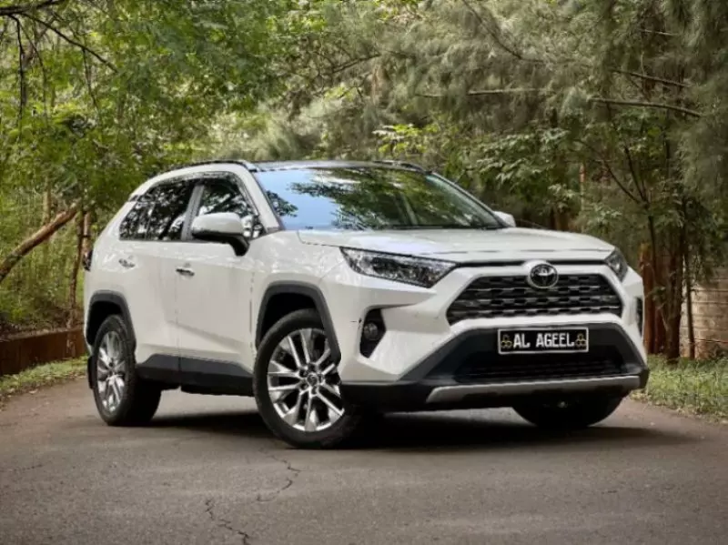 Toyota RAV 4   - 2019