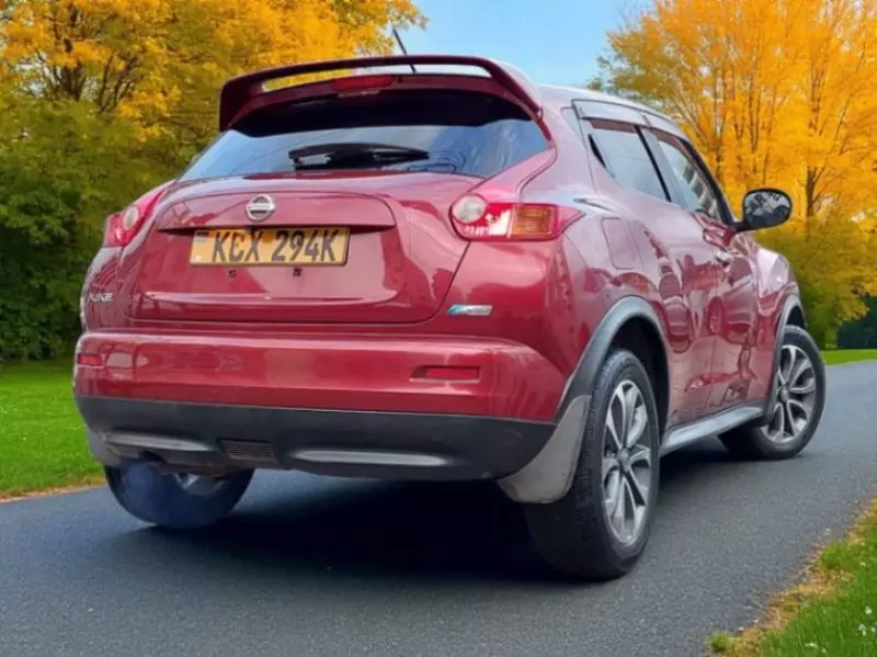 Nissan Juke   - 2012