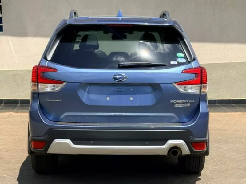 Subaru Forester   - 2019